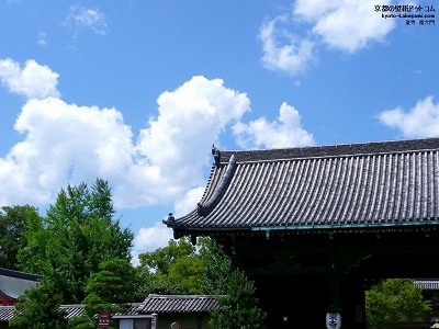 ����01�y�_�E�����[�h����ꍇ�͉E�̉摜�T�C�Y���N���b�N���Ă��������z