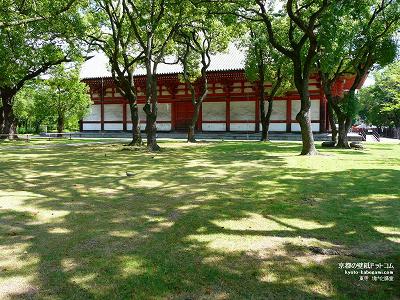 ����07�y�_�E�����[�h����ꍇ�͉E�̉摜�T�C�Y���N���b�N���Ă��������z