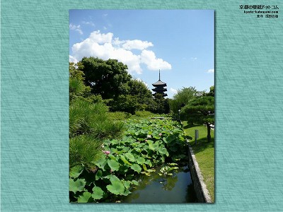 ����09�y�_�E�����[�h����ꍇ�͉E�̉摜�T�C�Y���N���b�N���Ă��������z