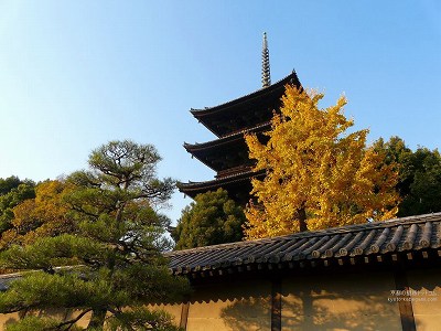 ����11�y�_�E�����[�h����ꍇ�͉E�̉摜�T�C�Y���N���b�N���Ă��������z