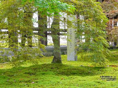 ������25�y�_�E�����[�h����ꍇ�͉E�̉摜�T�C�Y���N���b�N���Ă��������z