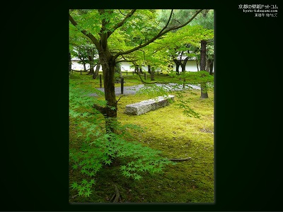 ������26�y�_�E�����[�h����ꍇ�͉E�̉摜�T�C�Y���N���b�N���Ă��������z