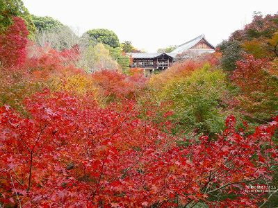 ������28�y�_�E�����[�h����ꍇ�͉E�̉摜�T�C�Y���N���b�N���Ă��������z