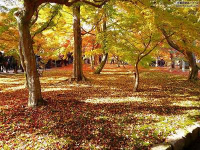 ������29�y�_�E�����[�h����ꍇ�͉E�̉摜�T�C�Y���N���b�N���Ă��������z