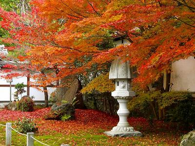 ������30�y�_�E�����[�h����ꍇ�͉E�̉摜�T�C�Y���N���b�N���Ă��������z