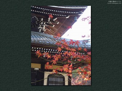 ��T��06�y�_�E�����[�h����ꍇ�͉E�̉摜�T�C�Y���N���b�N���Ă��������z