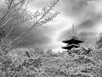 �m�a��02�y�_�E�����[�h����ꍇ�͉E�̉摜�T�C�Y���N���b�N���Ă��������z