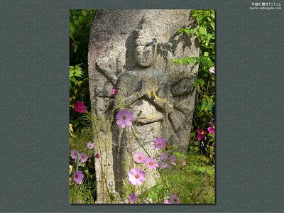 �ʎ᎛01�y�_�E�����[�h����ꍇ�͉E�̉摜�T�C�Y���N���b�N���Ă��������z