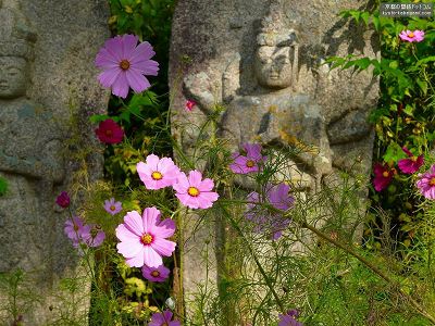 �ʎ᎛02�y�_�E�����[�h����ꍇ�͉E�̉摜�T�C�Y���N���b�N���Ă��������z