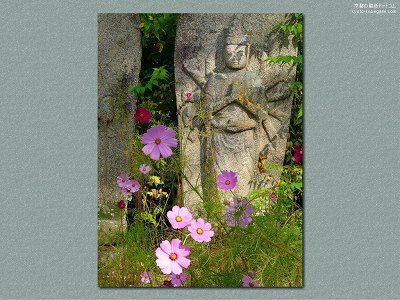 �ʎ᎛03�y�_�E�����[�h����ꍇ�͉E�̉摜�T�C�Y���N���b�N���Ă��������z