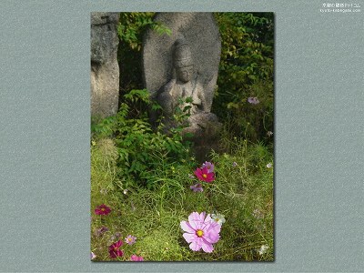 �ʎ᎛05�y�_�E�����[�h����ꍇ�͉E�̉摜�T�C�Y���N���b�N���Ă��������z