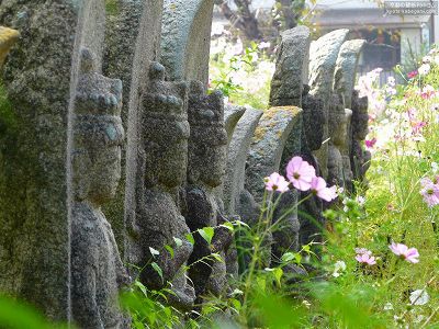 �ʎ᎛06�y�_�E�����[�h����ꍇ�͉E�̉摜�T�C�Y���N���b�N���Ă��������z