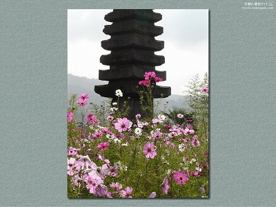 �ʎ᎛07�y�_�E�����[�h����ꍇ�͉E�̉摜�T�C�Y���N���b�N���Ă��������z