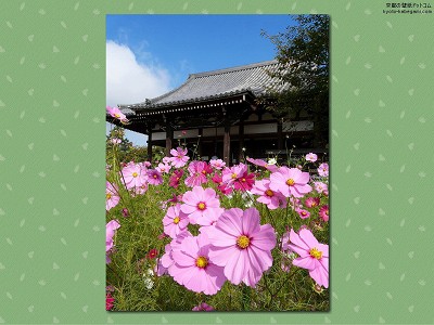 �ʎ᎛08�y�_�E�����[�h����ꍇ�͉E�̉摜�T�C�Y���N���b�N���Ă��������z