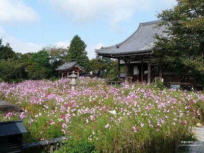 �ʎ᎛09�y�_�E�����[�h����ꍇ�͉E�̉摜�T�C�Y���N���b�N���Ă��������z