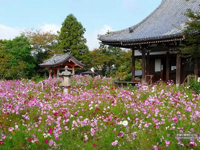 �ʎ᎛12�y�_�E�����[�h����ꍇ�͉E�̉摜�T�C�Y���N���b�N���Ă��������z