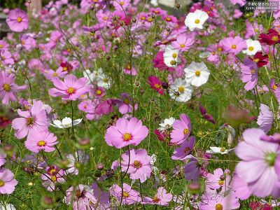 �ʎ᎛11�y�_�E�����[�h����ꍇ�͉E�̉摜�T�C�Y���N���b�N���Ă��������z