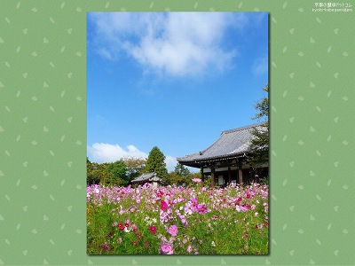 �ʎ᎛13�y�_�E�����[�h����ꍇ�͉E�̉摜�T�C�Y���N���b�N���Ă��������z