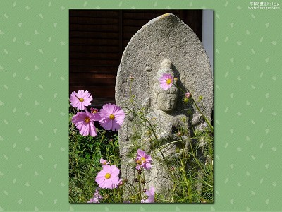 �ʎ᎛15�y�_�E�����[�h����ꍇ�͉E�̉摜�T�C�Y���N���b�N���Ă��������z