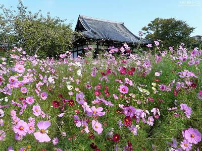 �ʎ᎛17�y�_�E�����[�h����ꍇ�͉E�̉摜�T�C�Y���N���b�N���Ă��������z