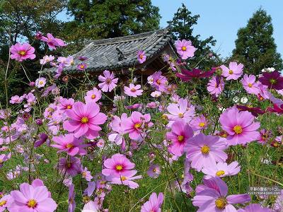 �ʎ᎛18�y�_�E�����[�h����ꍇ�͉E�̉摜�T�C�Y���N���b�N���Ă��������z