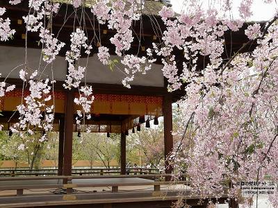 ����_��03�y�_�E�����[�h����ꍇ�͉E�̉摜�T�C�Y���N���b�N���Ă��������z