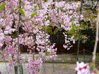 ����_��01�y�_�E�����[�h����ꍇ�͉E�̉摜�T�C�Y���N���b�N���Ă��������z