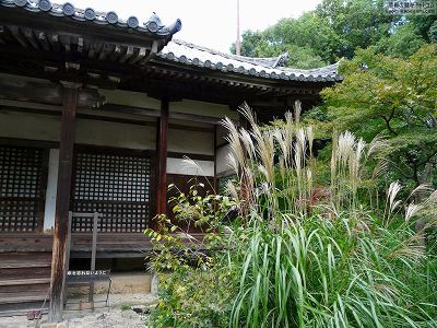 ������01�y�_�E�����[�h����ꍇ�͉E�̉摜�T�C�Y���N���b�N���Ă��������z