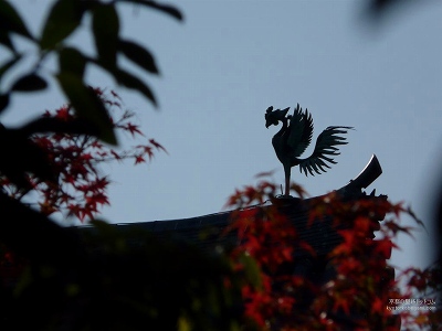 �����@02�y�_�E�����[�h����ꍇ�͉E�̉摜�T�C�Y���N���b�N���Ă��������z