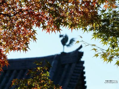 �����@05�y�_�E�����[�h����ꍇ�͉E�̉摜�T�C�Y���N���b�N���Ă��������z