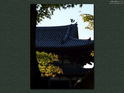 �����@06�y�_�E�����[�h����ꍇ�͉E�̉摜�T�C�Y���N���b�N���Ă��������z