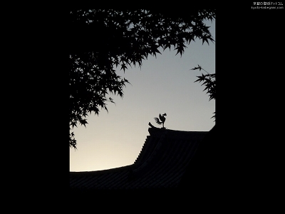 �����@19�y�_�E�����[�h����ꍇ�͉E�̉摜�T�C�Y���N���b�N���Ă��������z