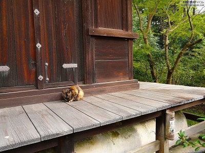 �s�ގ�01�y�_�E�����[�h����ꍇ�͉E�̉摜�T�C�Y���N���b�N���Ă��������z