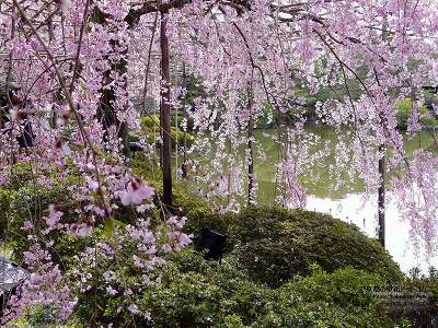 �����_�{01�y�_�E�����[�h����ꍇ�͉E�̉摜�T�C�Y���N���b�N���Ă��������z