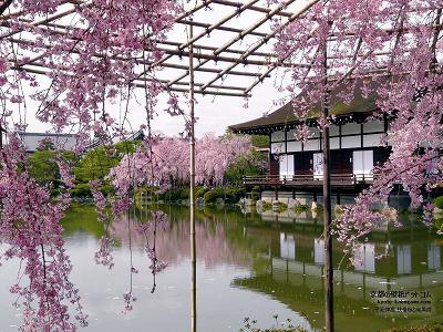 �����_�{03�y�_�E�����[�h����ꍇ�͉E�̉摜�T�C�Y���N���b�N���Ă��������z