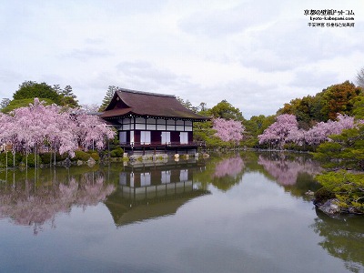 �����_�{05�y�_�E�����[�h����ꍇ�͉E�̉摜�T�C�Y���N���b�N���Ă��������z