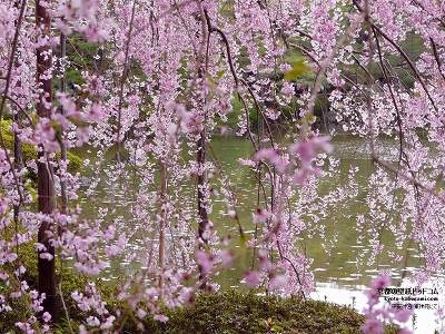 �����_�{07�y�_�E�����[�h����ꍇ�͉E�̉摜�T�C�Y���N���b�N���Ă��������z