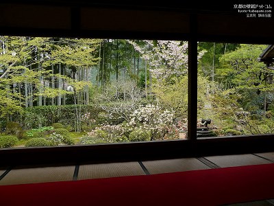 ���@03�y�_�E�����[�h����ꍇ�͉E�̉摜�T�C�Y���N���b�N���Ă��������z