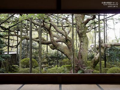 ���@07�y�_�E�����[�h����ꍇ�͉E�̉摜�T�C�Y���N���b�N���Ă��������z