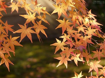 �F�t�@01�y�_�E�����[�h����ꍇ�͉E�̉摜�T�C�Y���N���b�N���Ă��������z