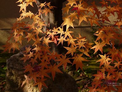 �F�t�@02�y�_�E�����[�h����ꍇ�͉E�̉摜�T�C�Y���N���b�N���Ă��������z