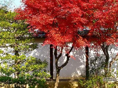 �F�t�@03�y�_�E�����[�h����ꍇ�͉E�̉摜�T�C�Y���N���b�N���Ă��������z