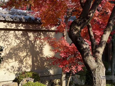 �F�t�@04�y�_�E�����[�h����ꍇ�͉E�̉摜�T�C�Y���N���b�N���Ă��������z