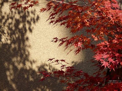 �F�t�@05�y�_�E�����[�h����ꍇ�͉E�̉摜�T�C�Y���N���b�N���Ă��������z