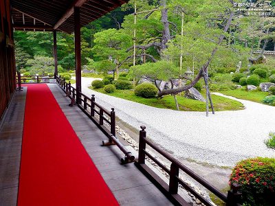 �֎�@02�y�_�E�����[�h����ꍇ�͉E�̉摜�T�C�Y���N���b�N���Ă��������z