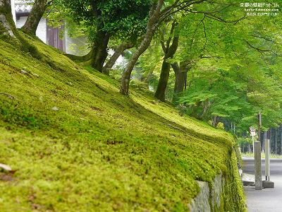 �֎�@07�y�_�E�����[�h����ꍇ�͉E�̉摜�T�C�Y���N���b�N���Ă��������z