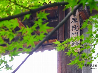 �֎�@08�y�_�E�����[�h����ꍇ�͉E�̉摜�T�C�Y���N���b�N���Ă��������z