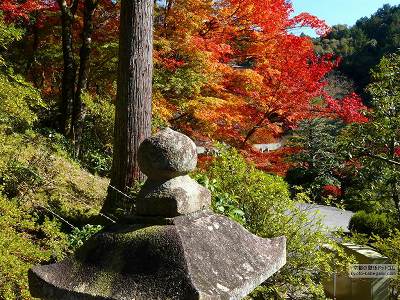 �O���ˎ�01�y�_�E�����[�h����ꍇ�͉E�̉摜�T�C�Y���N���b�N���Ă��������z