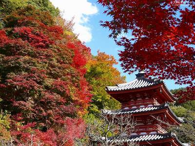 �O���ˎ�02�y�_�E�����[�h����ꍇ�͉E�̉摜�T�C�Y���N���b�N���Ă��������z