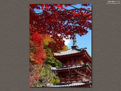 �O���ˎ�03�y�_�E�����[�h����ꍇ�͉E�̉摜�T�C�Y���N���b�N���Ă��������z